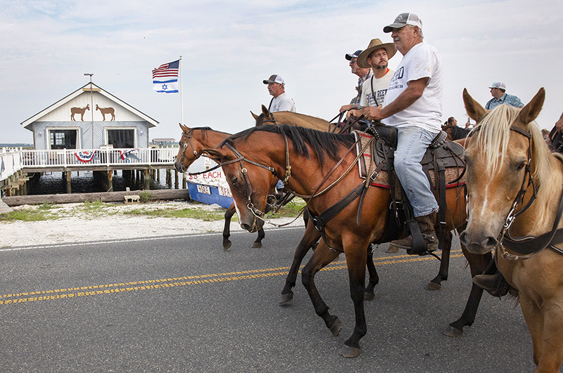 Chincoteague Wild Ponies : Richard Moore : Photographer : Photojournalist